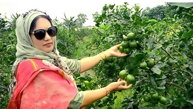গৃহিনী থেকে নার্সারি করে সফল নারী উদ্যোক্তা জেসমিন,বছরে আয় ৩৫ লাখ গৃহিনী থেকে নার্সারি করে সফল নারী উদ্যোক্তা জেসমিন,বছরে আয় ৩৫ লাখ